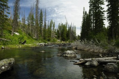 At the String Lake Outlet