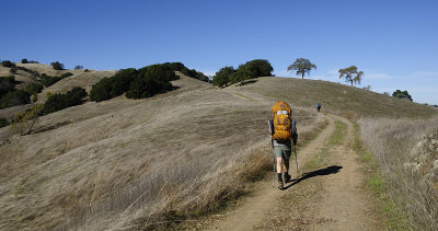 Hiking at Henry Coe State Park