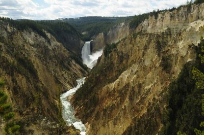 Lowers Yellowstone Falls
