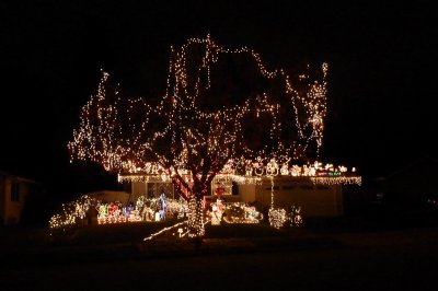 Christmas Lights