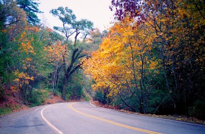 Stevens Canyon Road