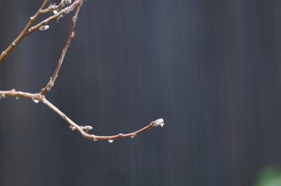Rainy days