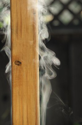 Steamy morning
