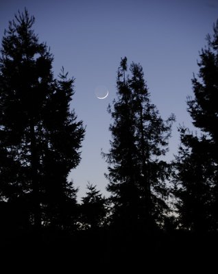 The Young Moon Setting