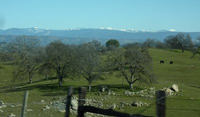 Snowy Sierras