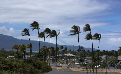 Trade winds at Kahului Airport