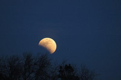 The Rising Eclipsed Moon