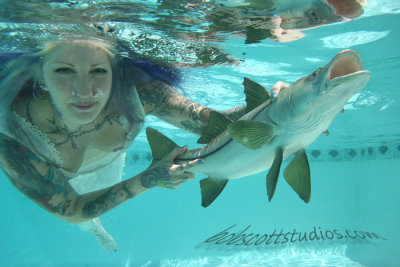Pet Snook in the pool