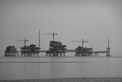 Oil Complex