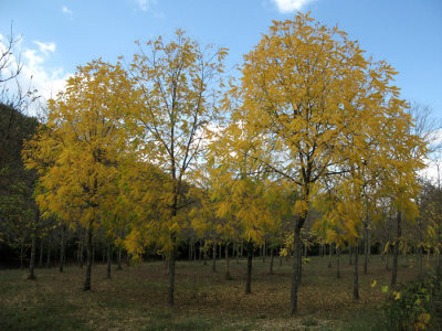 g1/75/750975/3/105306831.GJuubFNE.jpg