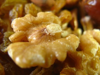 walnut