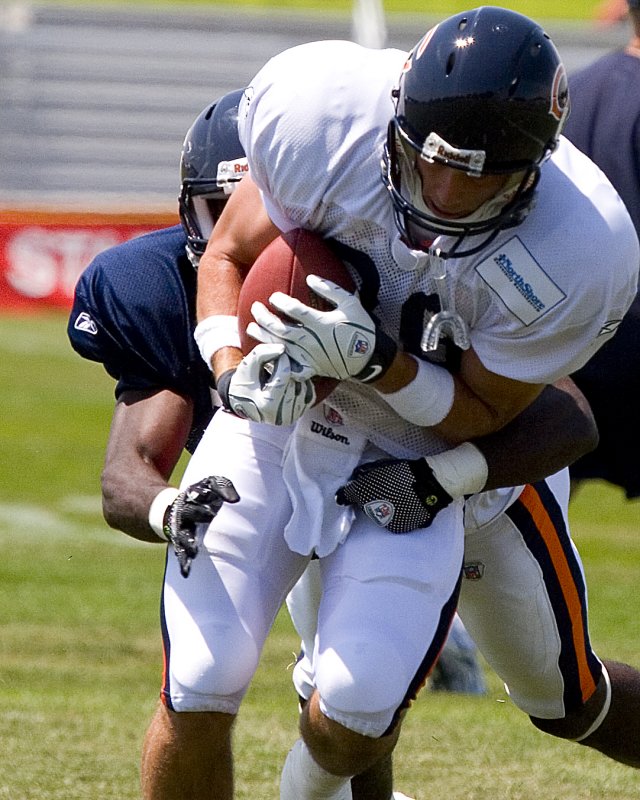 08-05-09 Bears 075.jpg