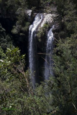 Springbrook National Park