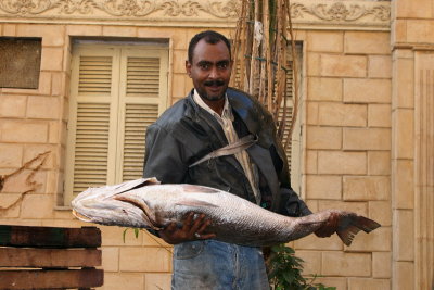 Il est beau mon poisson !