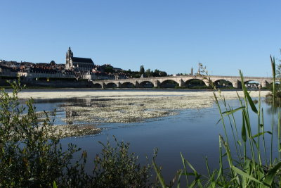 La Loire, dernier fleuve sauvage