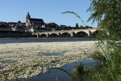 La Loire, dernier fleuve sauvage