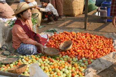 Jeune marchande de tomates