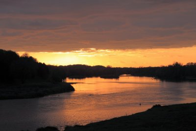 L'or de la Loire