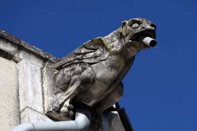 Gargouille de l'glise St Etienne