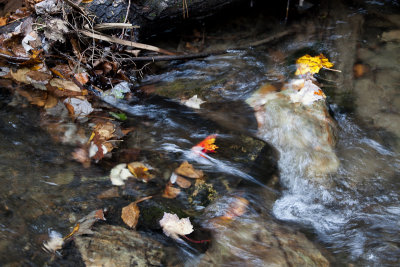 Magie de l'eau