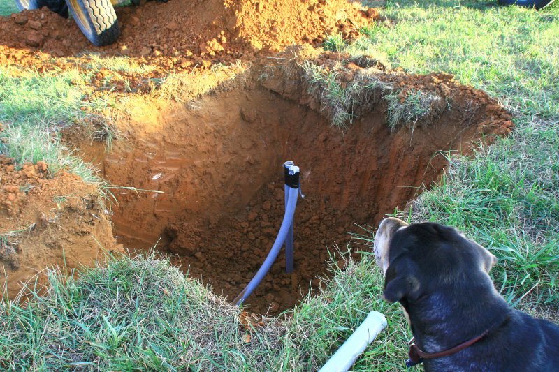 Gus checks out the conduit