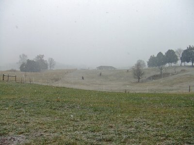 The snow doesn't seem to bother the Nardi's horses at all!