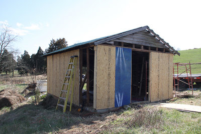 Next the OSB went up