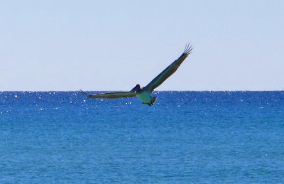 21-OCT-2010