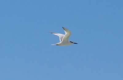 21-OCT-2010