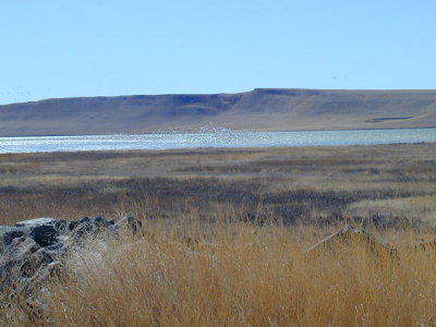 73220037.JPG