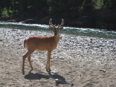 IMG_4361.JPG