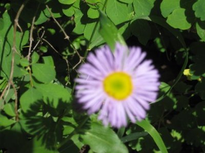 IMG_4432.JPG