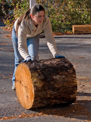 zP1060429 Sara rolls log toward wood splitter.jpg