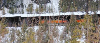 g1/75/795175/3/106893211.UHMRk4Dg.jpg