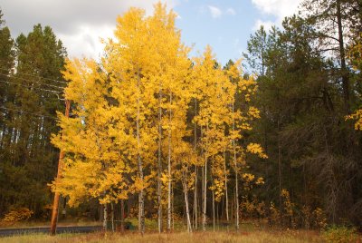 Photos from Beautiful Western Montana