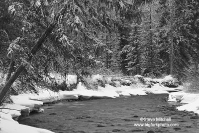 Winter Scene in Glacier - by Steve Mitchell - Scenic_A_16427.jpg