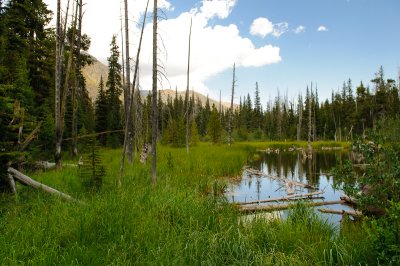 Trail to Hidden Lake