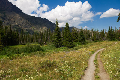 Trail from Two Medicine