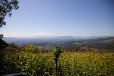 A View from near Mountain Lake