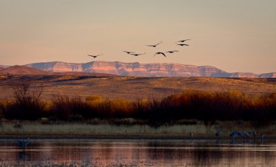 Sunset at Bosque del Apache