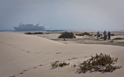 Isla Magdalena