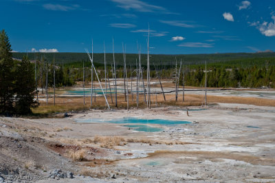 Norris Geyser Basin