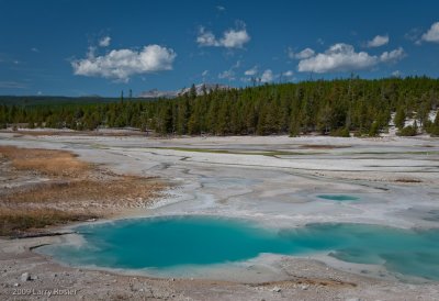 Norris Geyser Basin