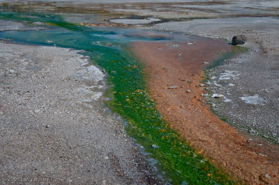 Norris Geyser Basin