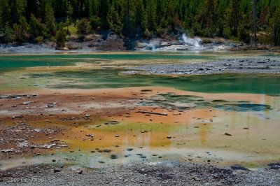 Norris Geyser Basin