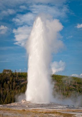 Old Faithful Area