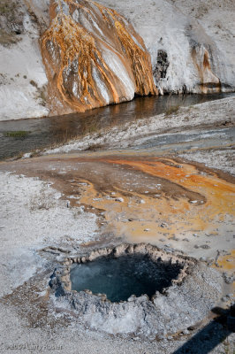 Old Faithful Area