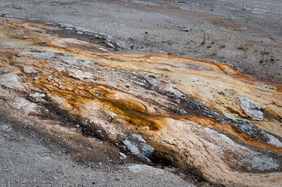 Old Faithful Area