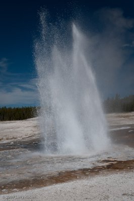 Plume Geyser