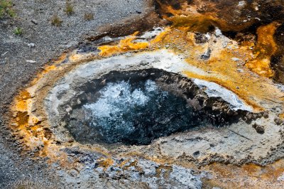 Old Faithful Area